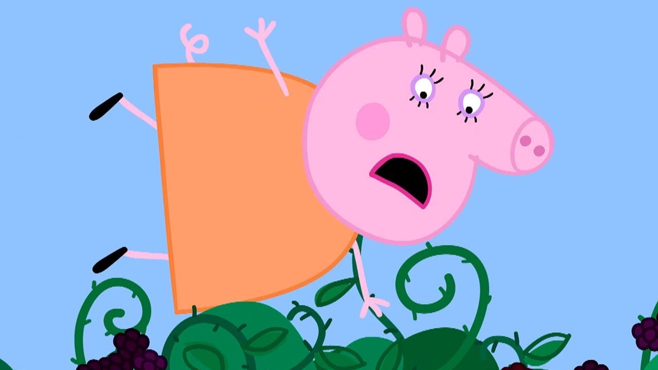 Quanti anni ha Mamma Pig? Scopri la vera età della mamma più amata Peppa Pig Italiano - Il rovo di more - Collezione Italiano - Cartoni Animati - YouTube
