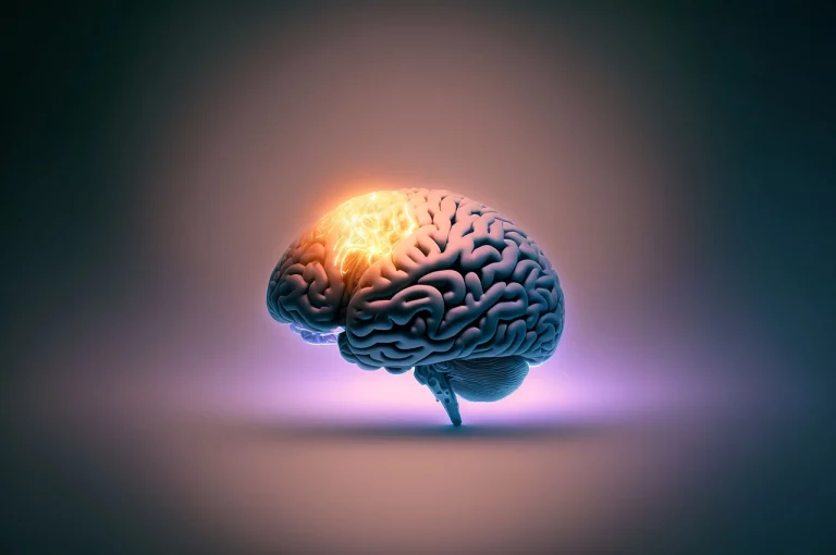 Scopri di più sull'articolo The brain develops rapidly during the early years.