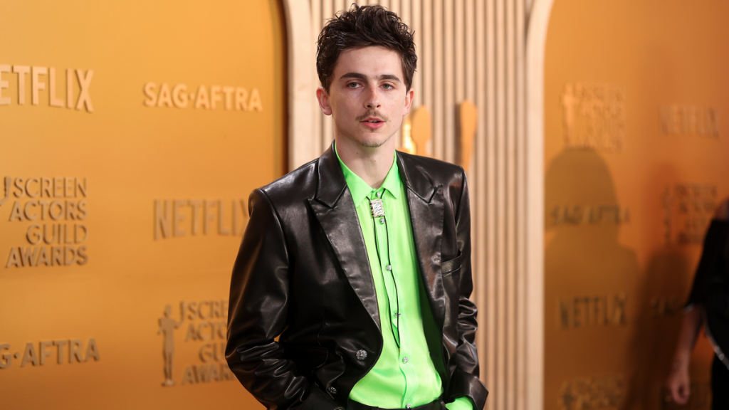 Timothée Chalamet SAG Awards: il suo discorso divide il pubblico timothee chalamet sag awards