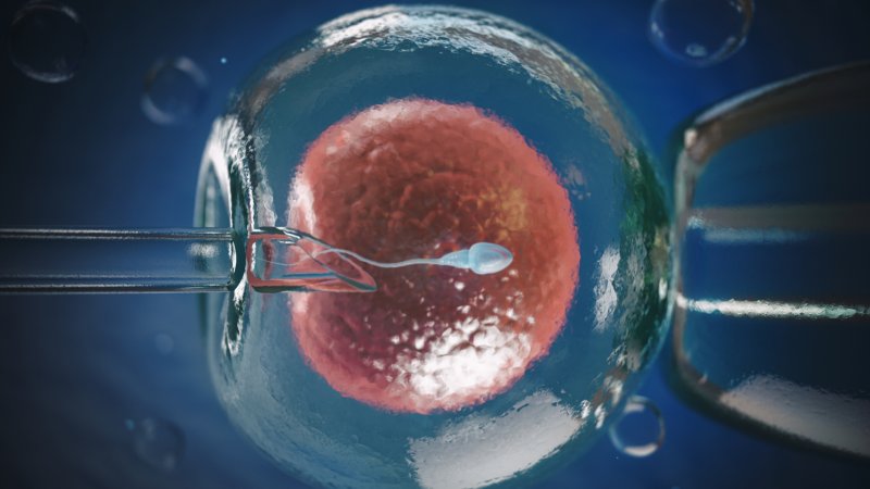 Scopri di più sull'articolo Ma come funziona la fecondazione assistita? Scopri tutto ciò che le coppie devono sapere