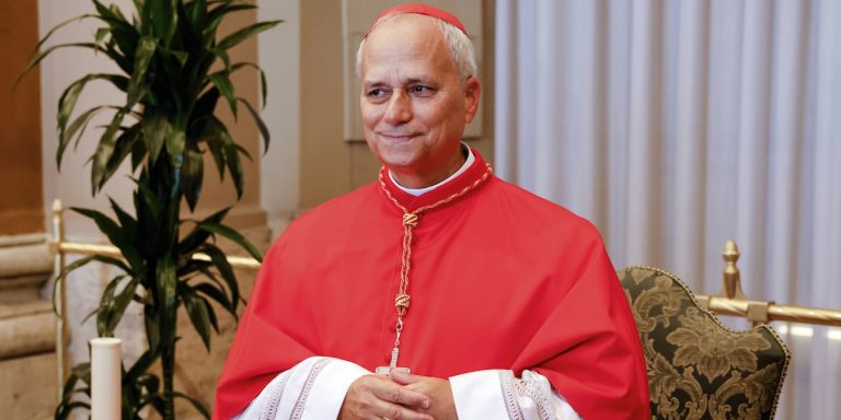 Scopri di più sull'articolo Papa Leone XIV: quanti followers ha e quanti ne ha guadagnati?