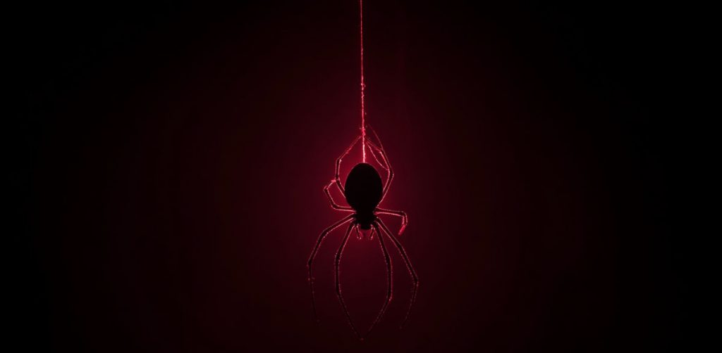 Spider-man ragno geneticamente modificato 