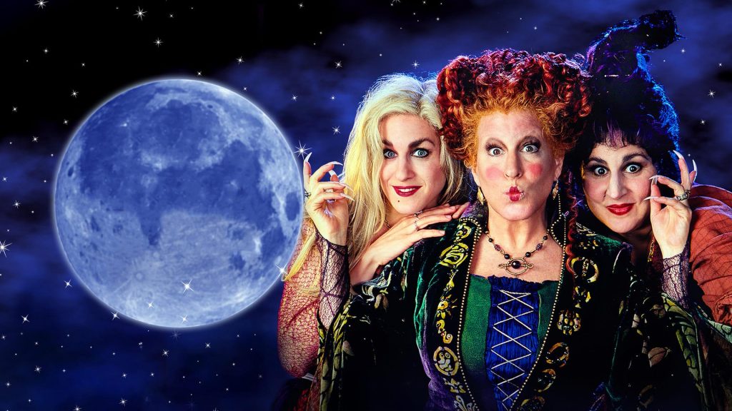 Hocus Pocus 19936423