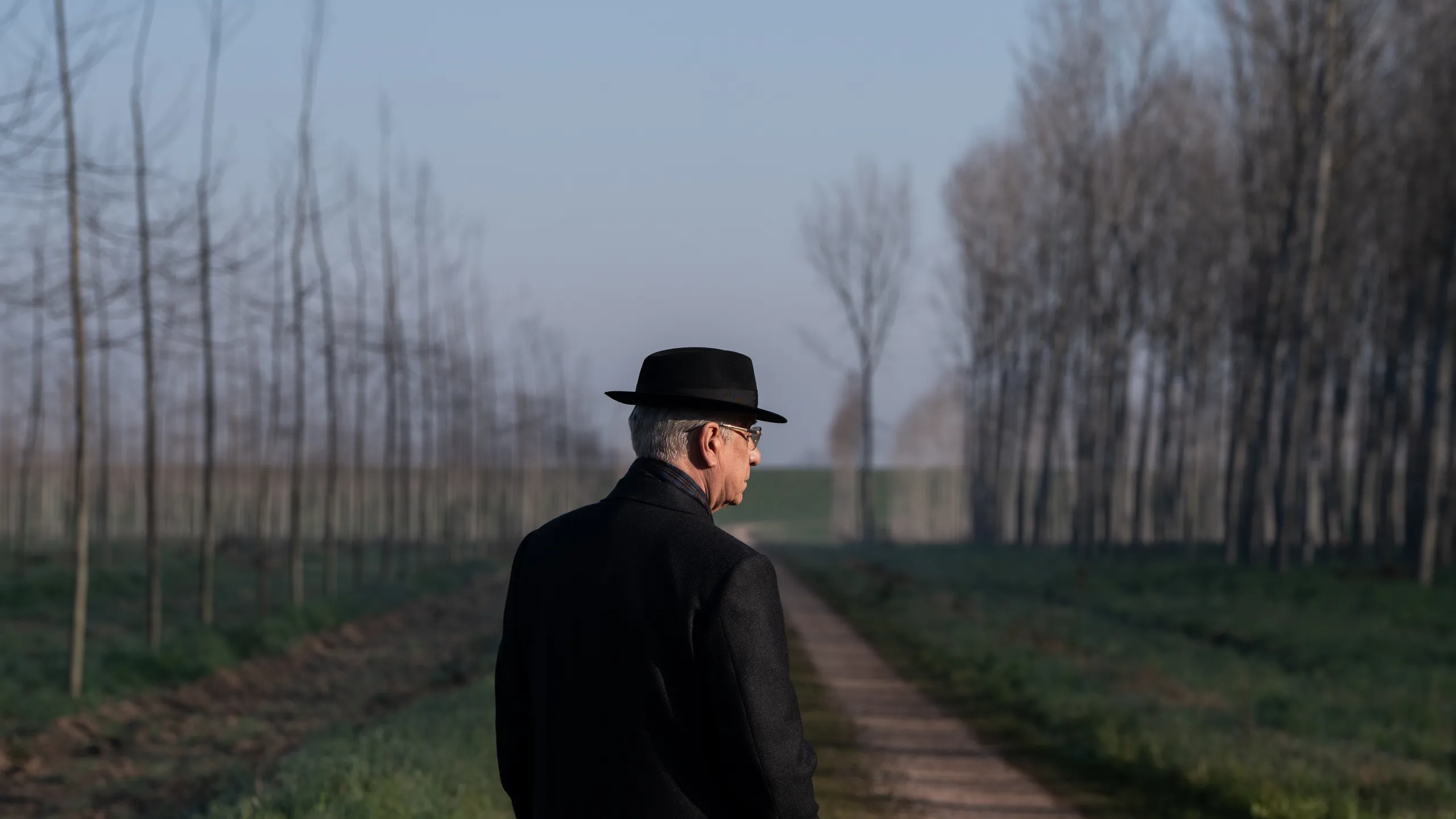 La Grazia, il trailer del film di Paolo Sorrentino al cinema dal 15 gennaio