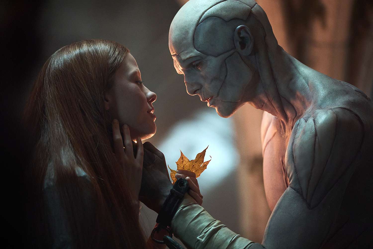 Jacob Elordi cambia volto: da Frankenstein a Cime tempestose, fino al ritorno in Euphoria