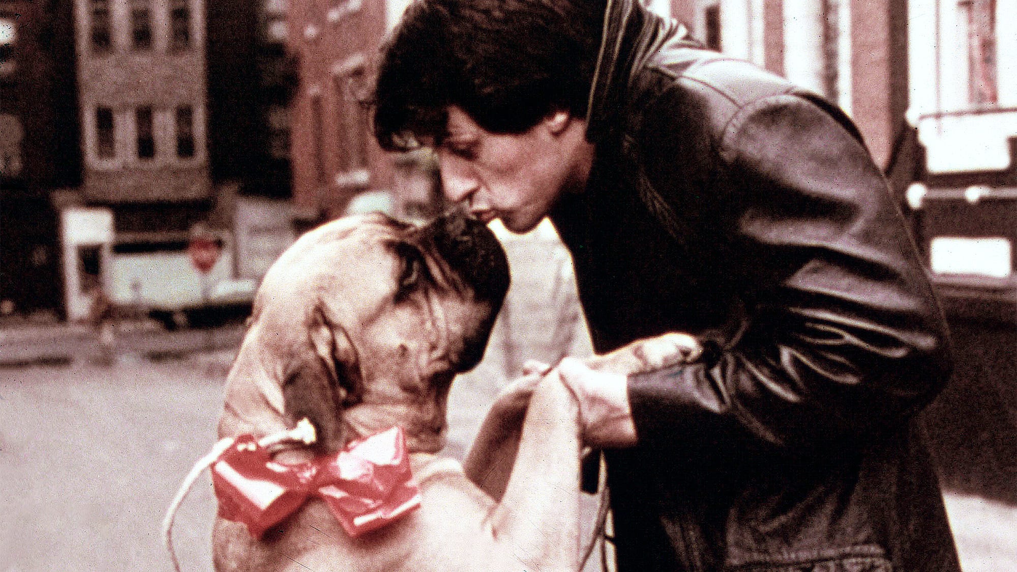 Quando Sylvester Stallone vendette il suo cane per 40 dollari: la vera storia di Butkus